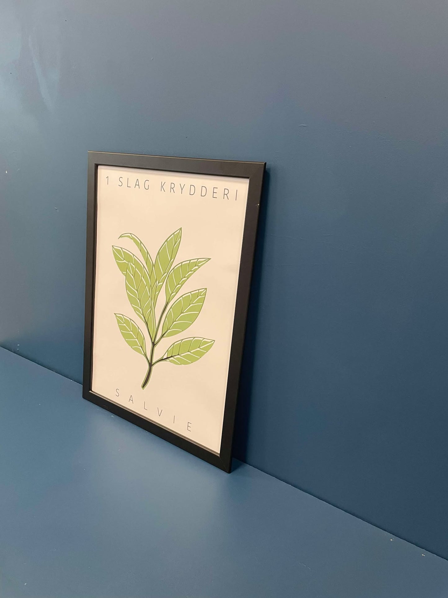 Plakat - "Salvie Krydderi"