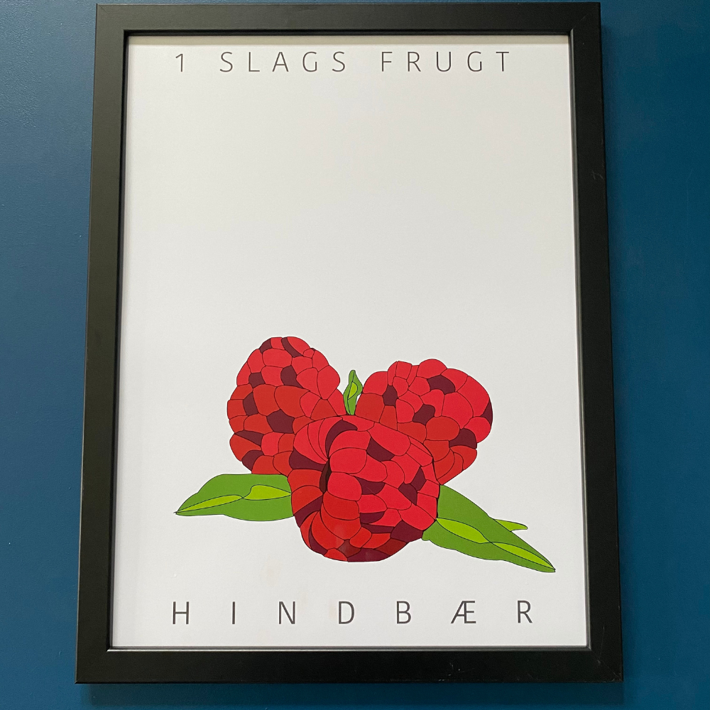 Plakater - "1 slags frugt - Hindbær"