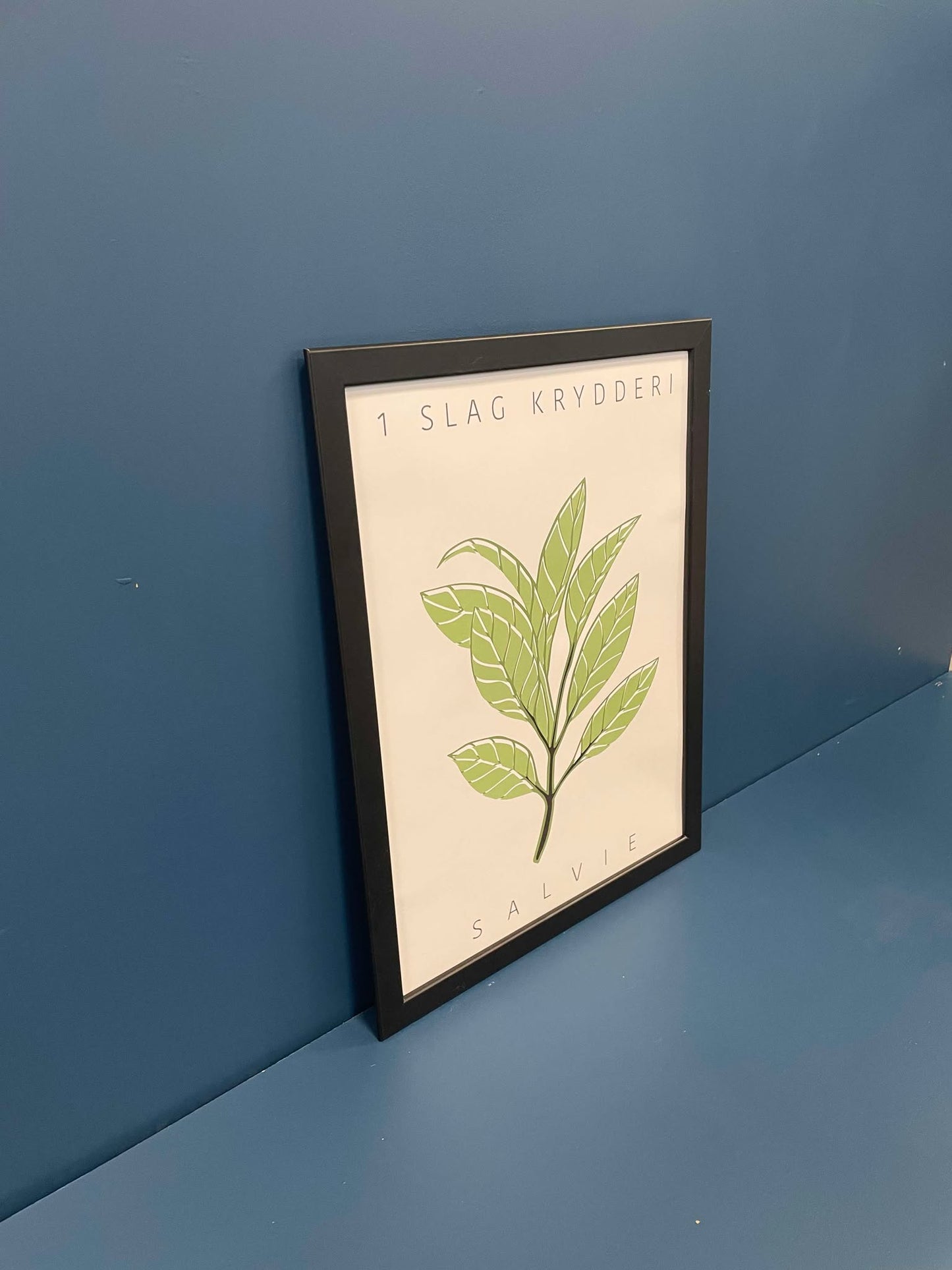 Plakat - "Salvie Krydderi"