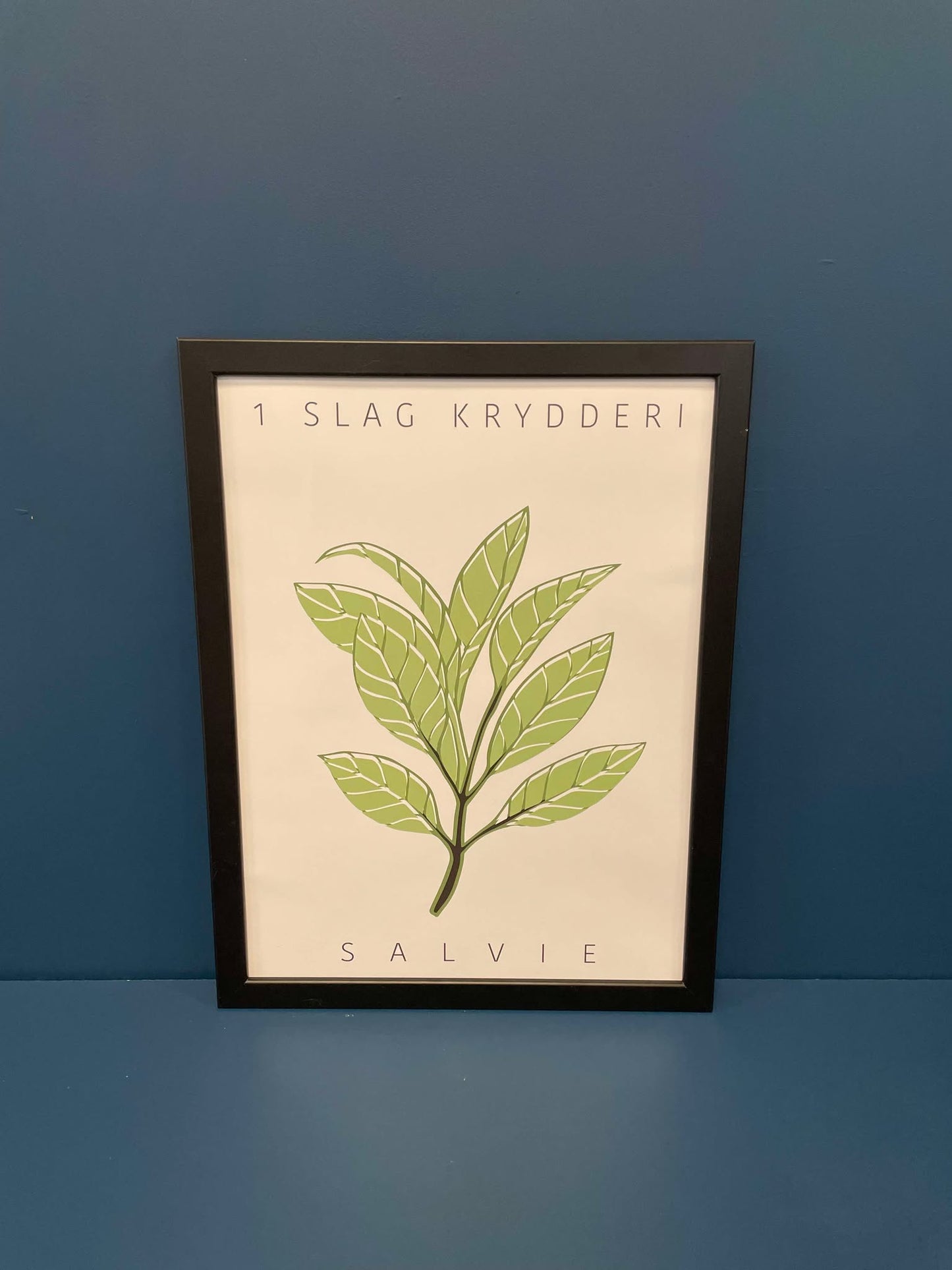 Plakat - "Salvie Krydderi"