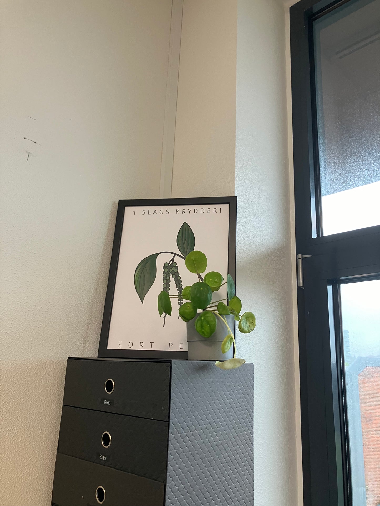 Plakat sort peber