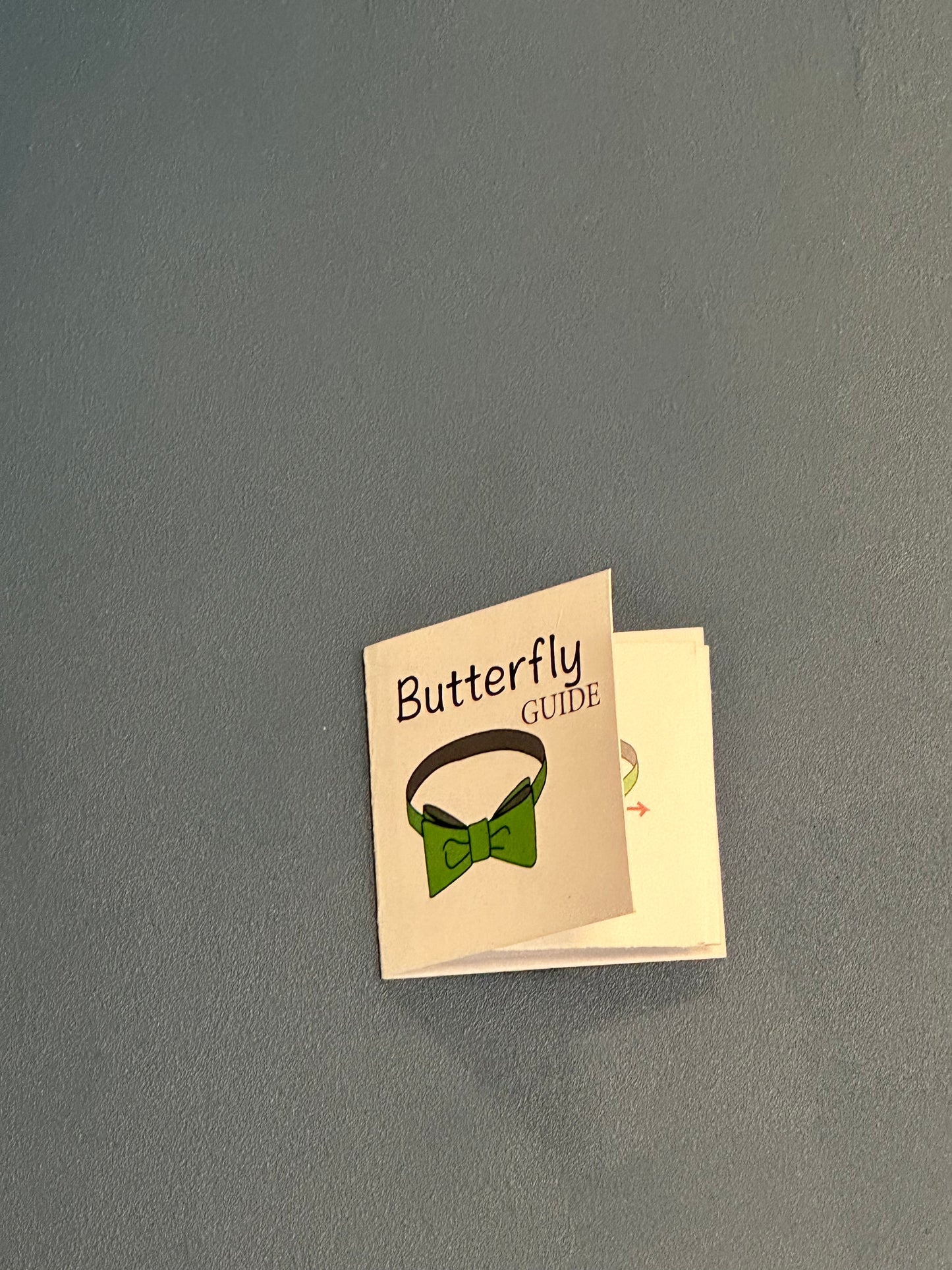 Butterfly Guide