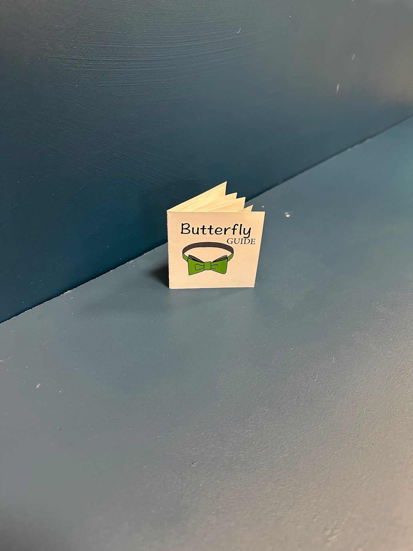 Butterfly Guide